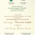 Cacioricotta di bufala