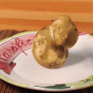 Scamorza affumicata2