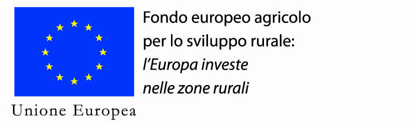 logo Unione Europea