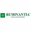 logo ruminantia