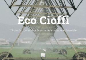 EcoCioffi