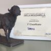 Mozzarella Championship 2023 - Caseificio Jemma I° posto categoria DOP