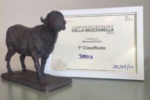 Mozzarella Championship 2023 - Caseificio Jemma I° posto categoria DOP