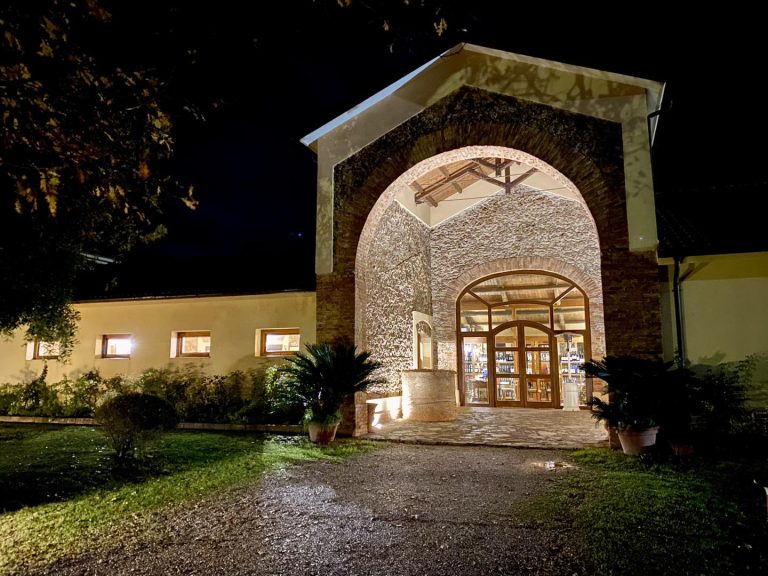 491736389_1233905685405679_6478871082342306689_n