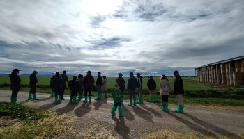 Visita ONAF Salerno - Azienda Agricola Jemma