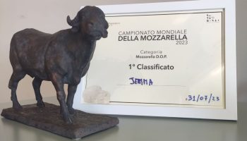 Mozzarella Championship 2023 - Caseificio Jemma I° posto categoria DOP